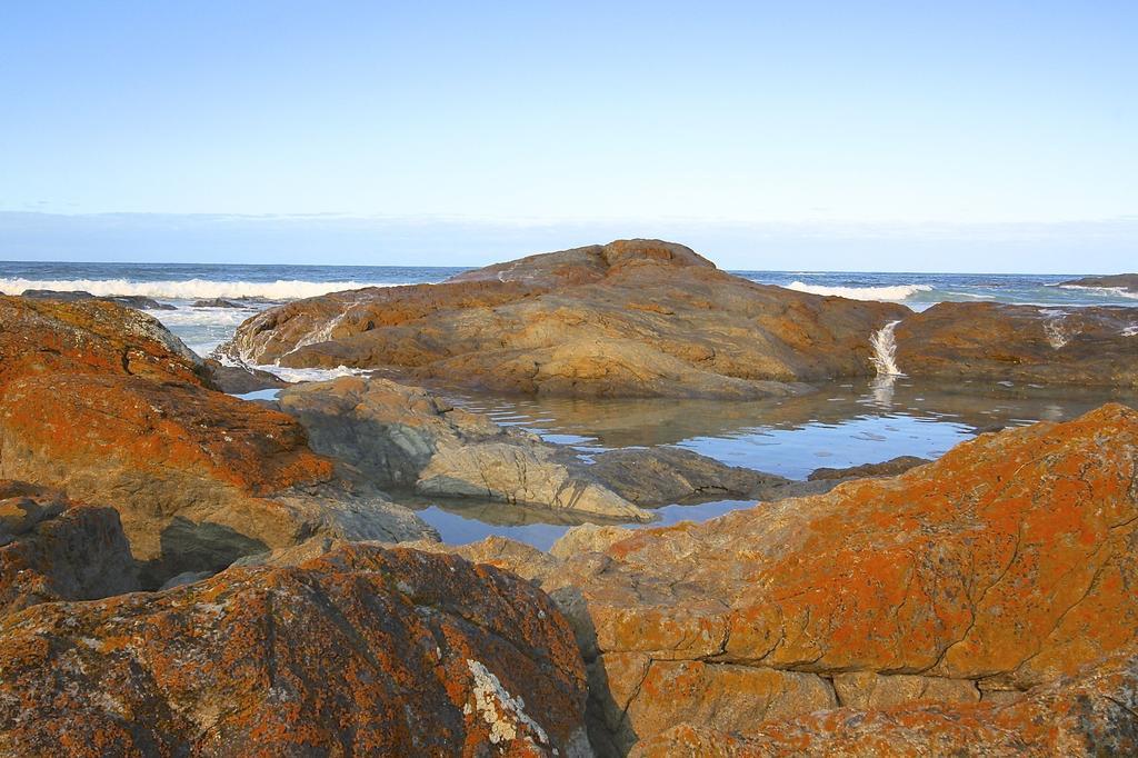 Saltwater - Absolute Oceanfront, Fire Pits, Some Villas With Hot Tubs And Sauna Falmouth ภายนอก รูปภาพ