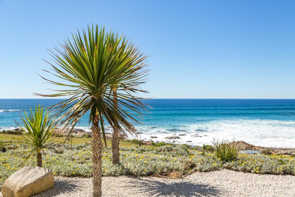 Saltwater - Absolute Oceanfront, Fire Pits, Some Villas With Hot Tubs And Sauna Falmouth ภายนอก รูปภาพ
